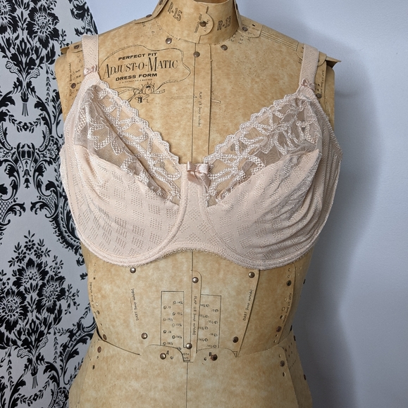 Fantasies Bra - Picture 1 of 3